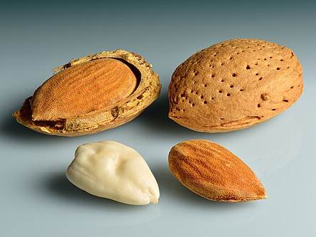 Almonds