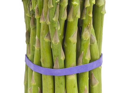 White asparagus