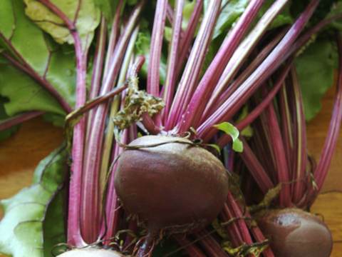 Beetroot salad