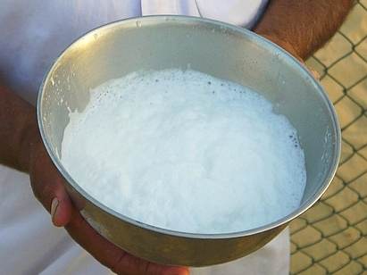 Camel milk