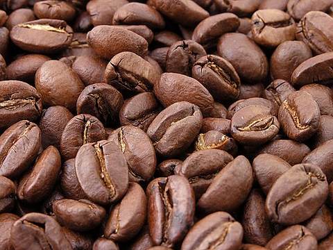 Coffee cherries