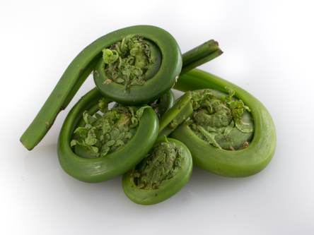 Fiddleheads
