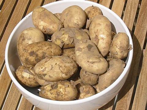 Jersey Royals