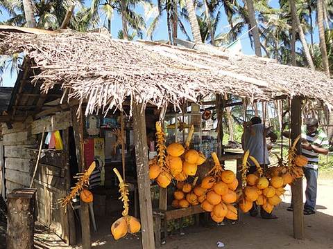 King coconut water