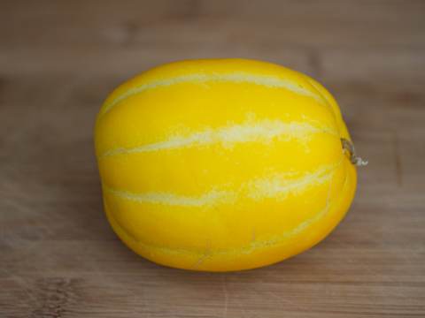 Korean melon