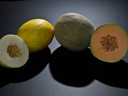 Melons