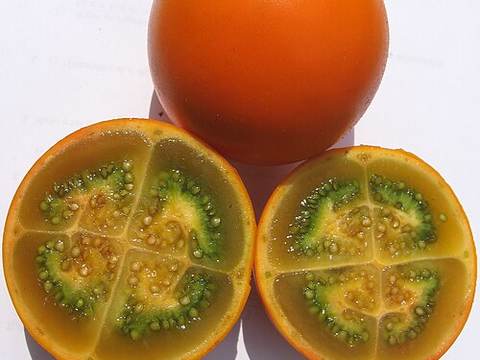 Naranjilla