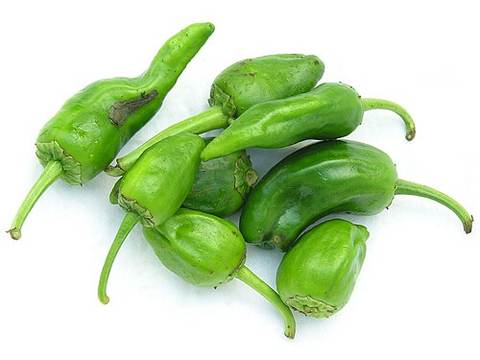 Pimientos de Padron