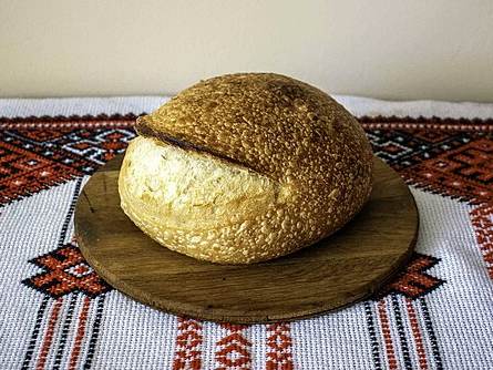 Palianytsia
