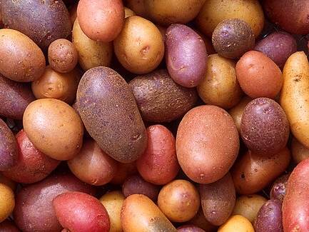 Potatoes