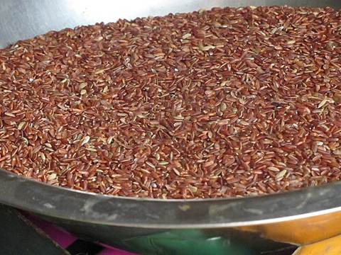Red rice