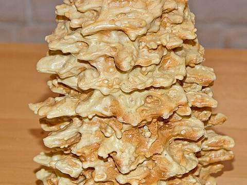 Sakotis