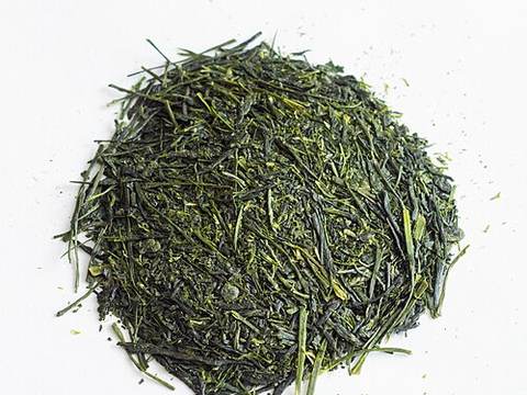 Sencha