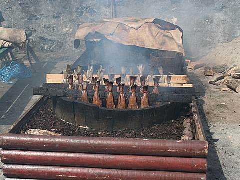 Savusilakka