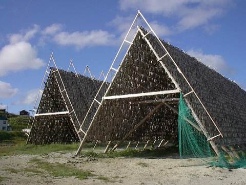 Dried fish