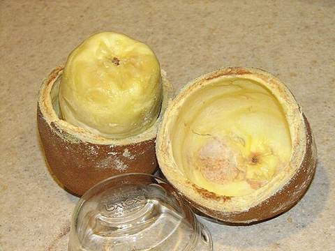 Cupuacu
