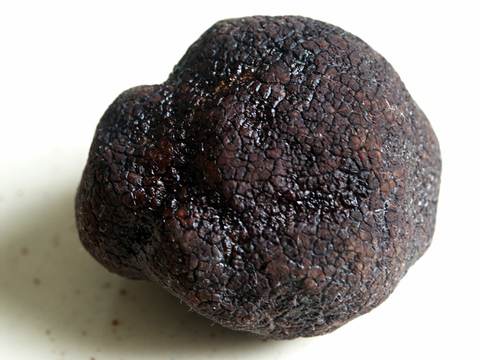 Black truffle