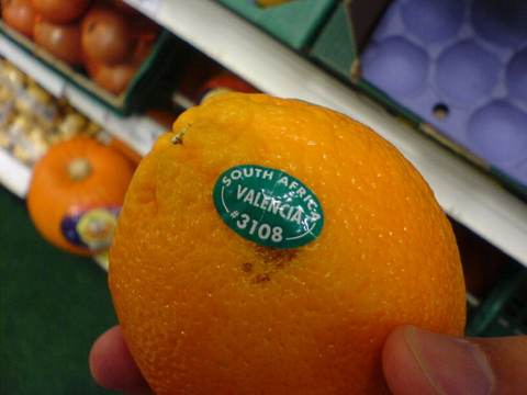 Oranges