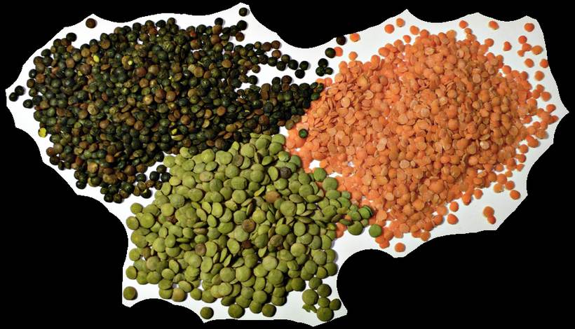 Dal