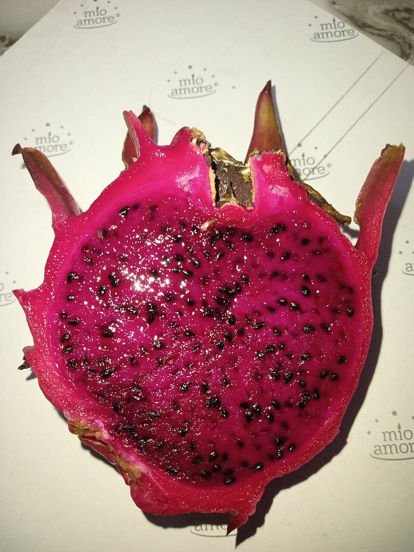 Dragon fruit